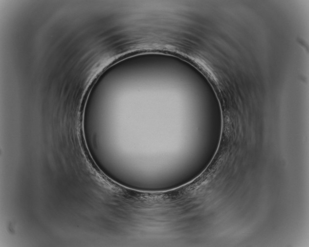 X0000094970895200712131452