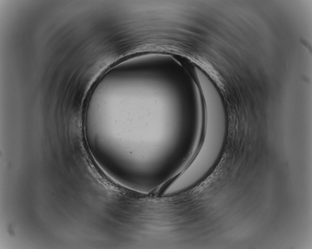 X0000094970896200712131452