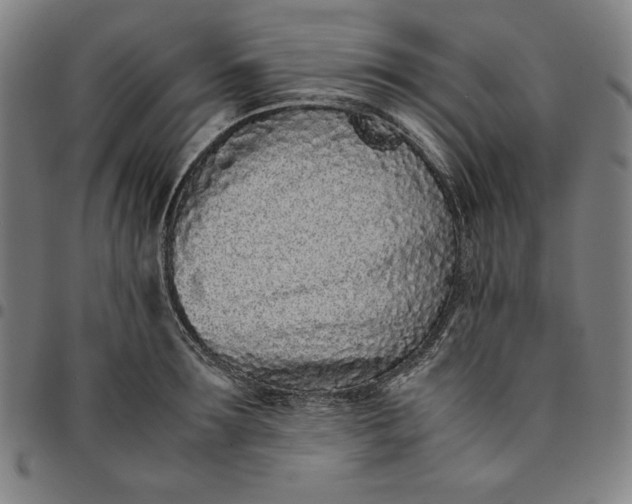 X0000094970899200712131452