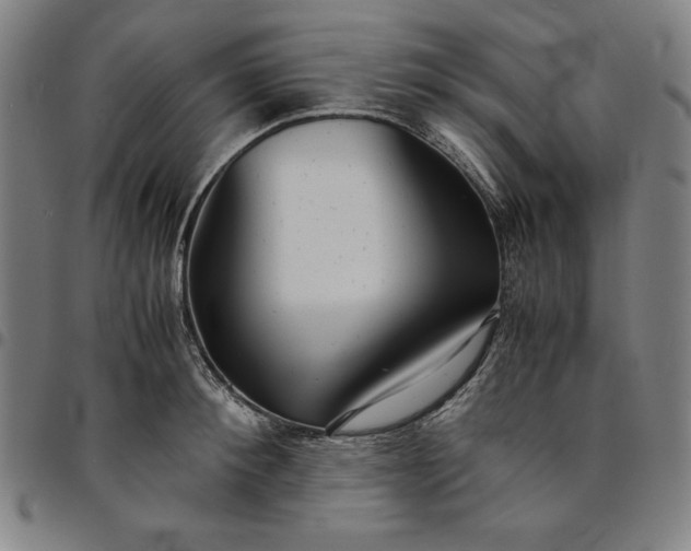 X0000094970900200712131452