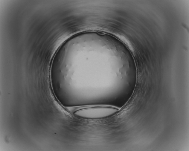 X0000094970903200712131452