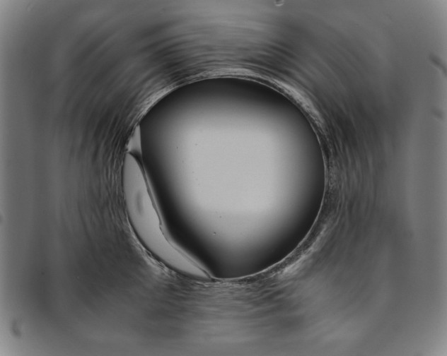 X0000094970905200712131452