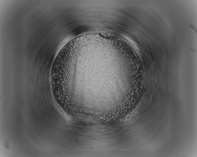 X0000094970907200712131452