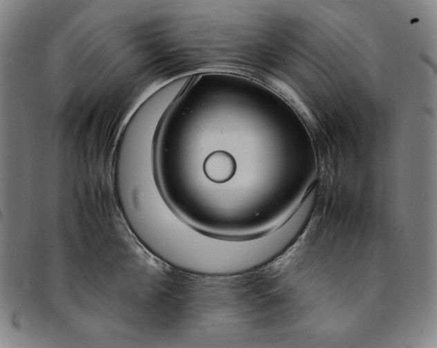 X0000094970908200712131452