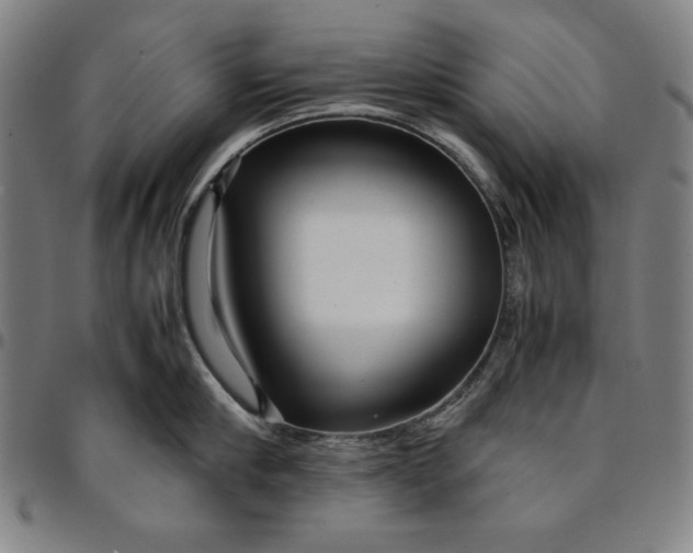 X0000094970910200712131452