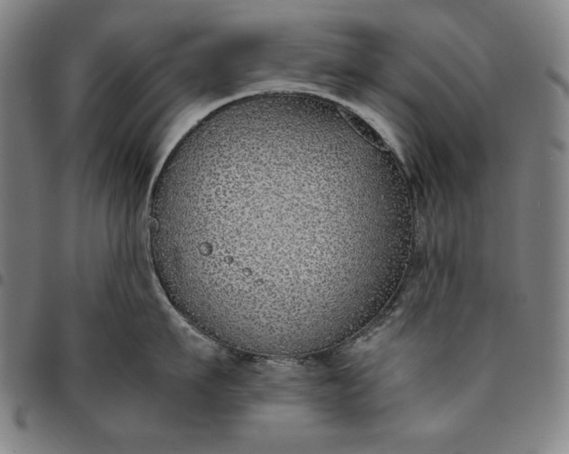 X0000094970911200712131452