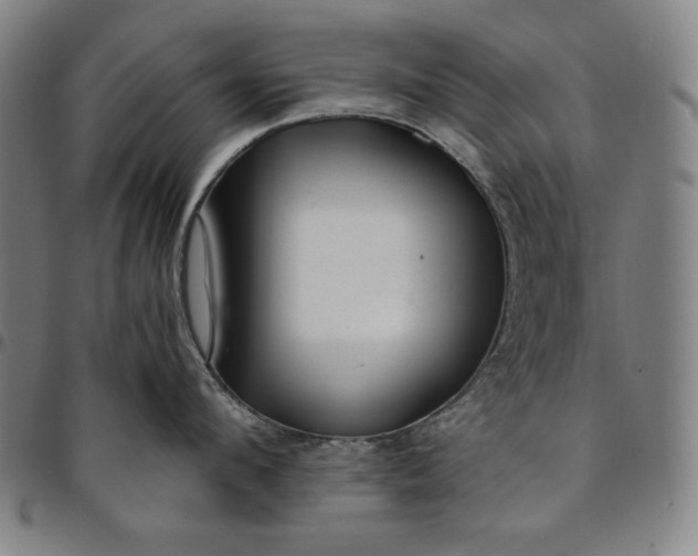 X0000094970912200712131452