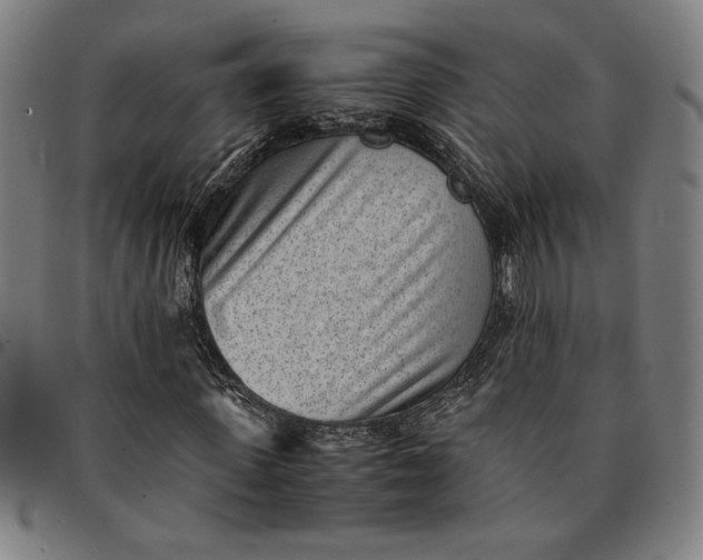 X0000094970915200712131451