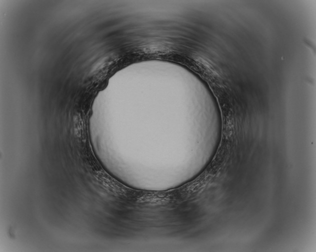 X0000094970917200712131451