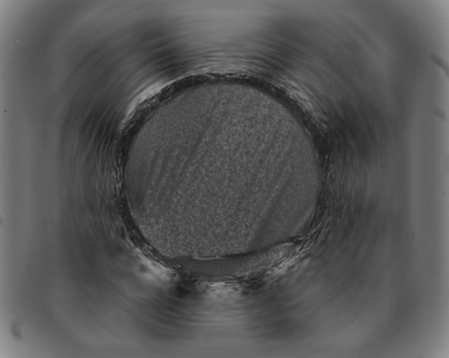 X0000094970920200712131451