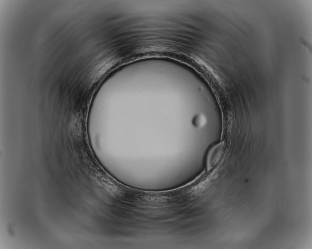 X0000094970921200712131451