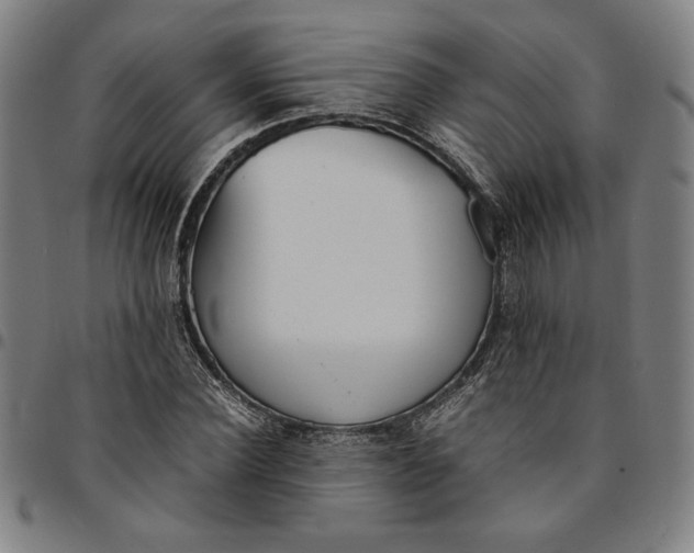 X0000094970924200712131451