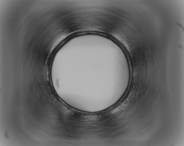 X0000094970925200712131451