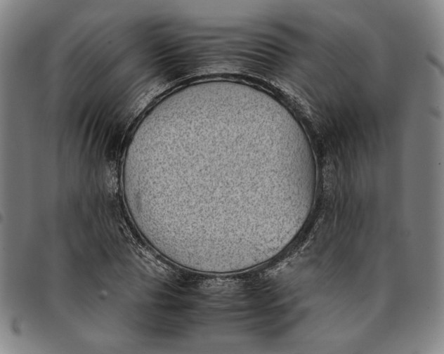 X0000094970929200712131451