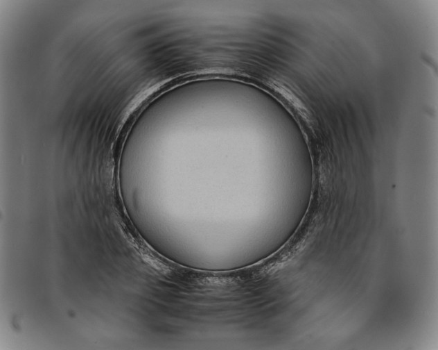 X0000094970933200712131451