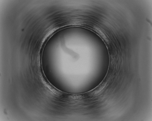 X0000094970939200712131451