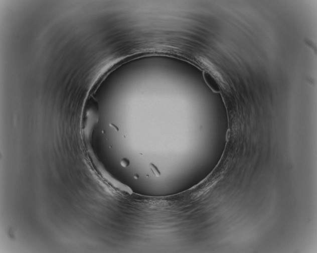 X0000094970940200712131451