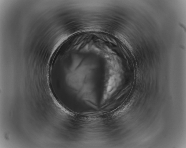 X0000094970941200712131451