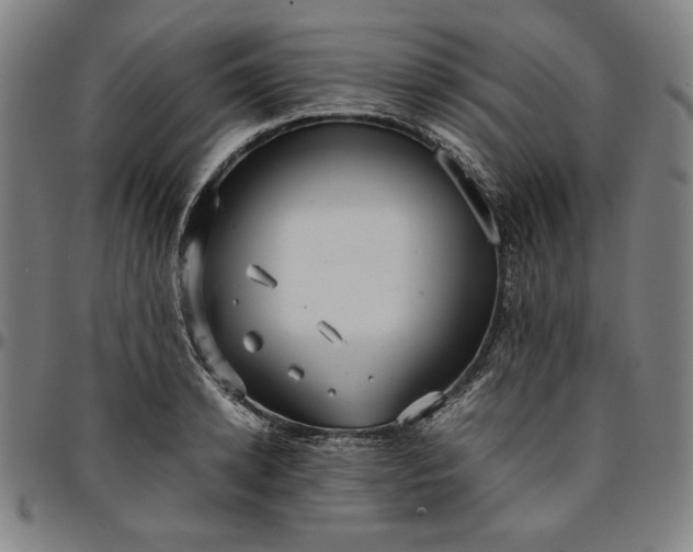 X0000094970942200712131451