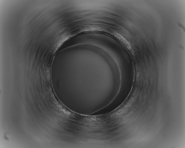 X0000094970945200712131451