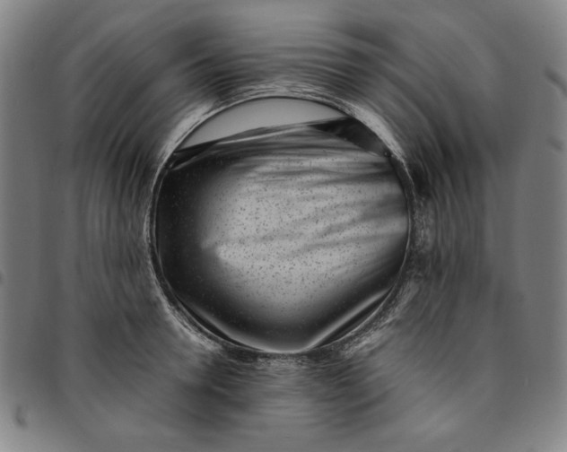 X0000094970946200712131451