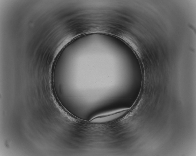 X0000094970949200712131451