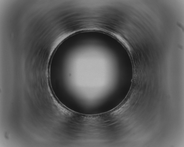 X0000094970951200712131451