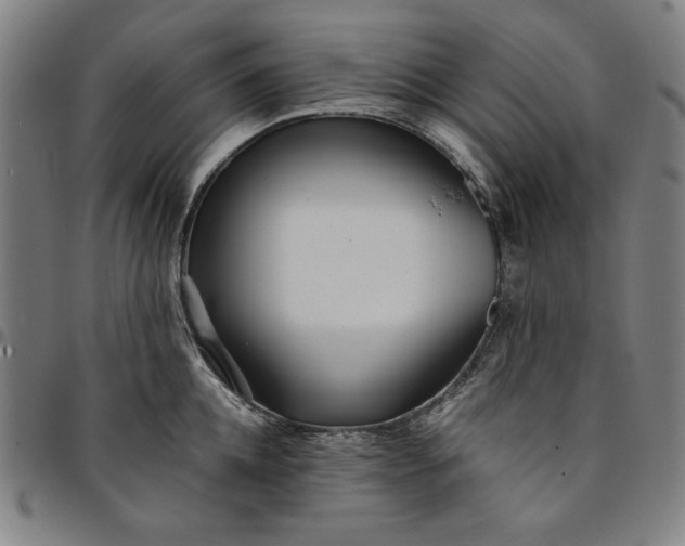 X0000094970952200712131451