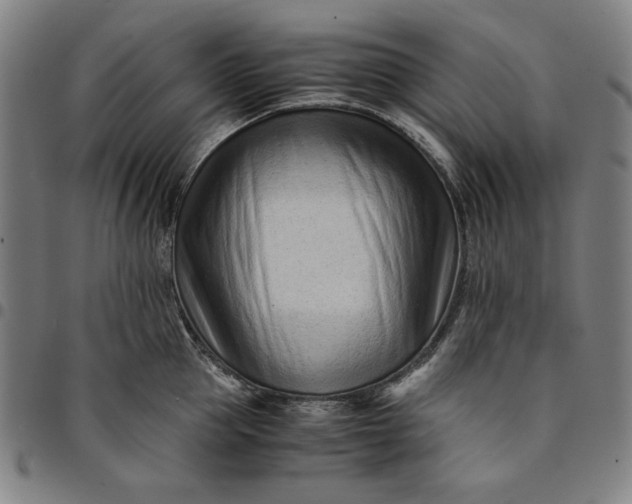 X0000094970953200712131451