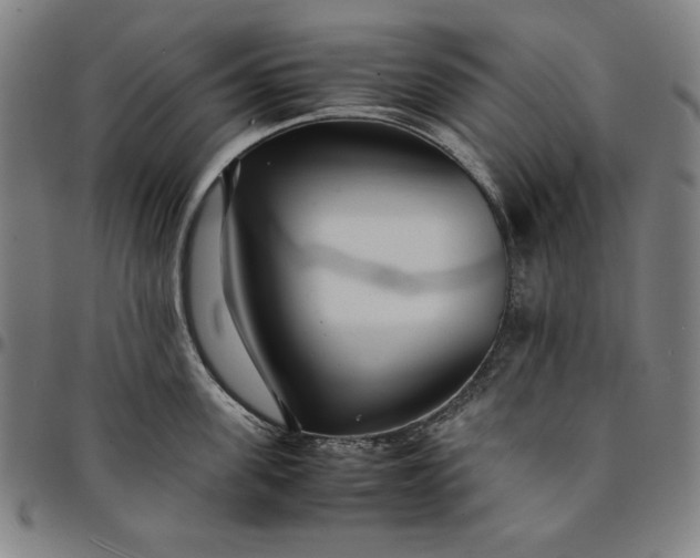 X0000094970955200712131451