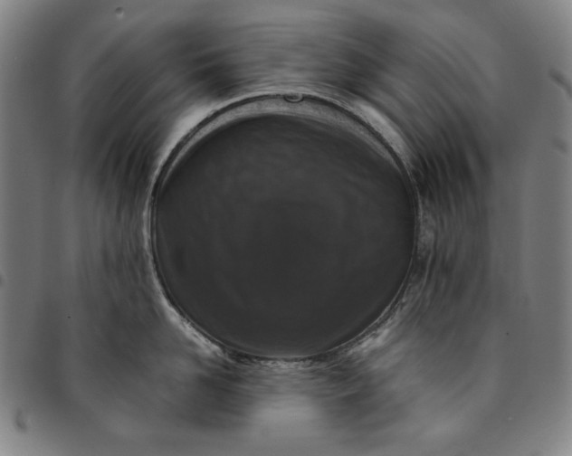 X0000094970958200712131452