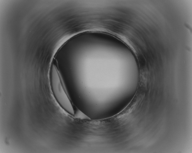 X0000094970959200712131452