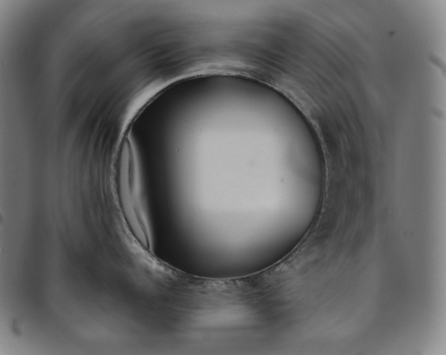 X0000094970960200712131452