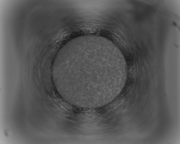 X0000094970961200712131451