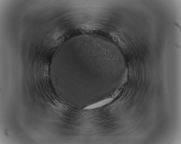 X0000094970964200712131451