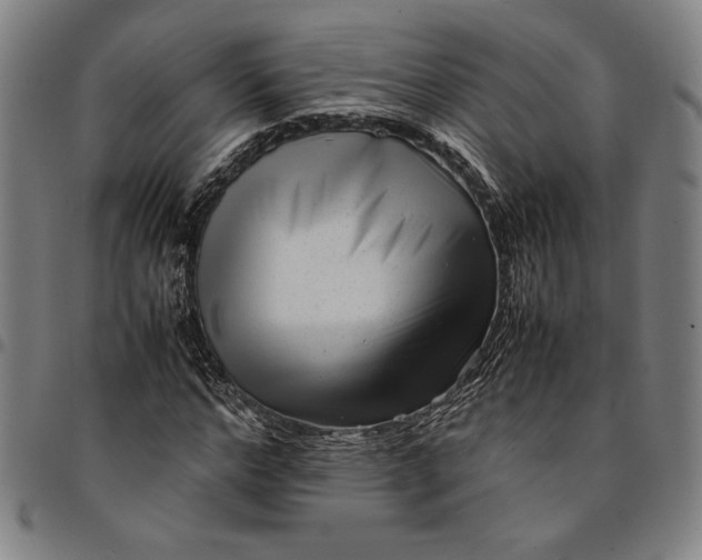 X0000094970968200712131451