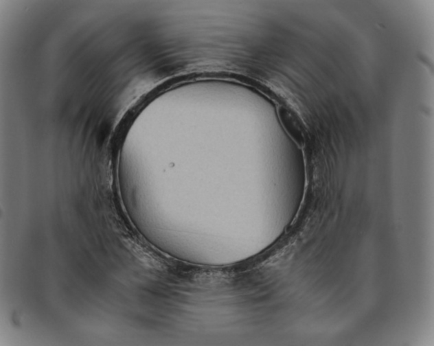 X0000094970973200712131451