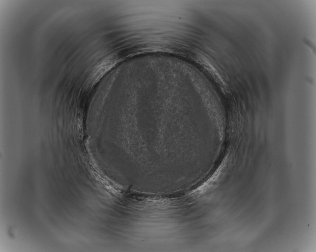 X0000094970977200712131451