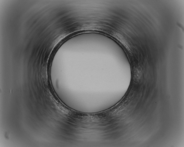 X0000094970980200712131451