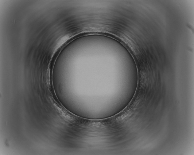 X0000094970982200712131451