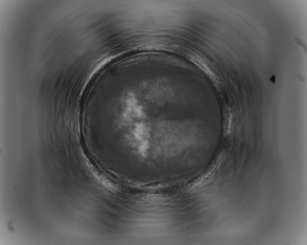 X0000094970984200712131451