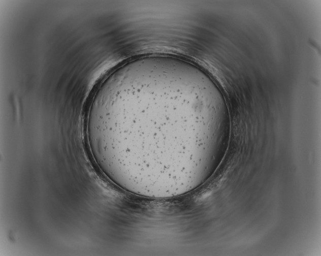 X0000094970987200712131451