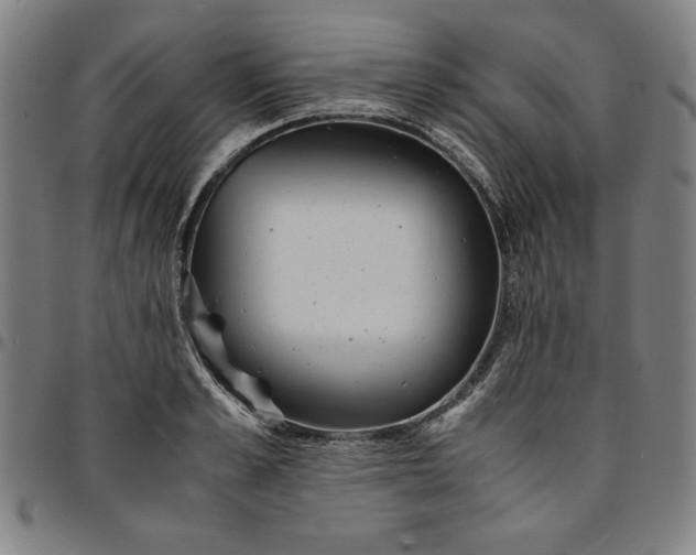 X0000094970989200712131450