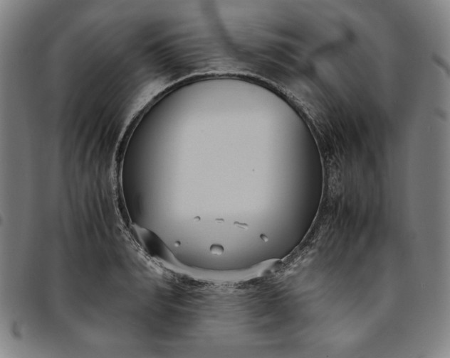 X0000094970990200712131450