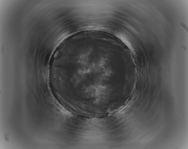 X0000094970992200712131450