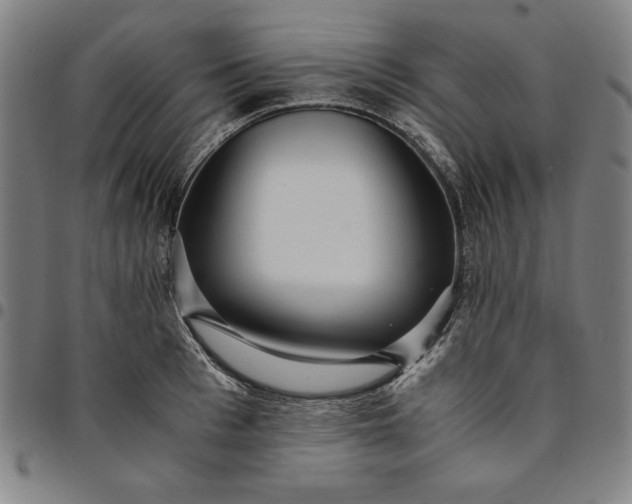 X0000094970993200712131450