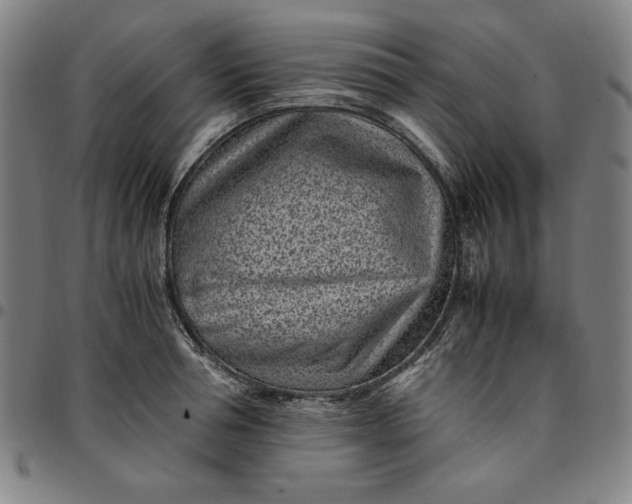 X0000094970994200712131450