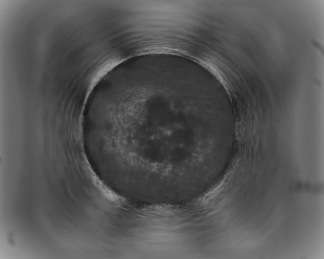 X0000094970995200712131450