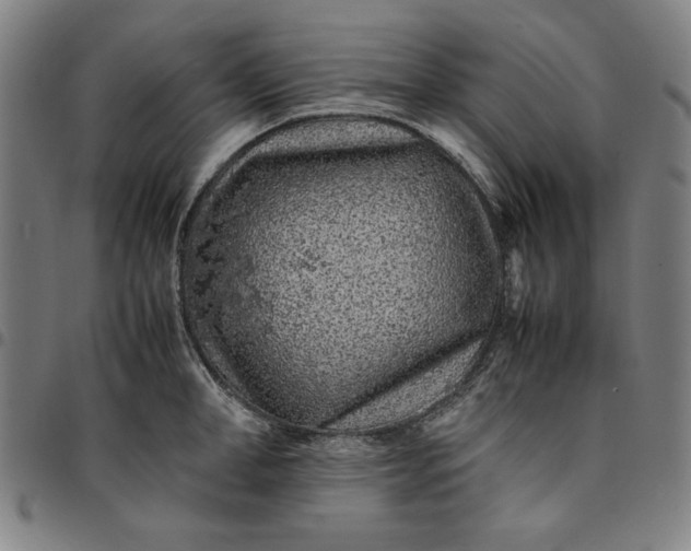 X0000094970998200712131450