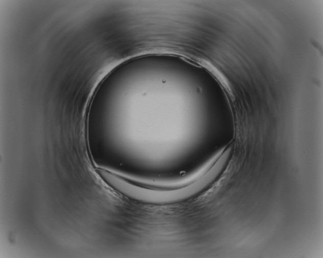 X0000094971004200712131450